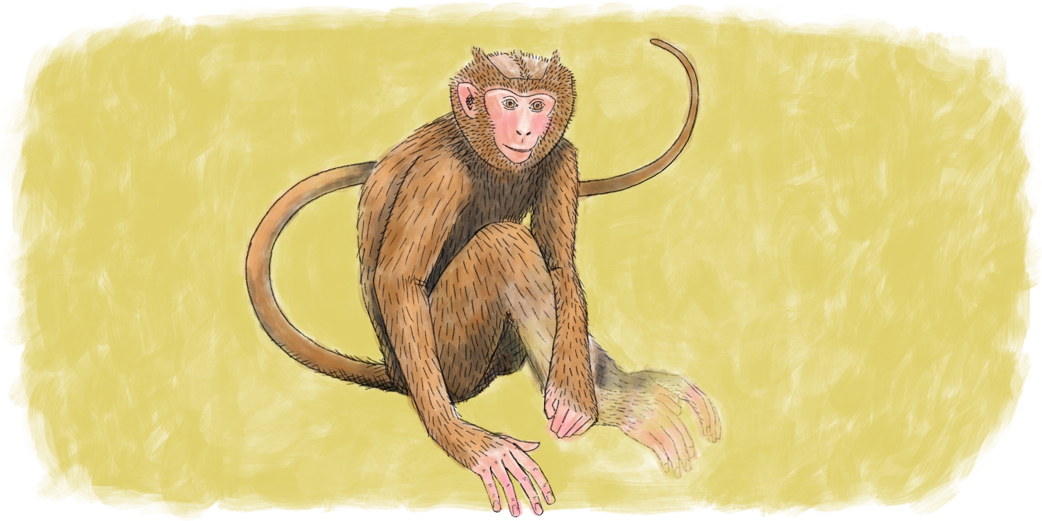 12 Animal Fortunes for the Wood Monkey Month