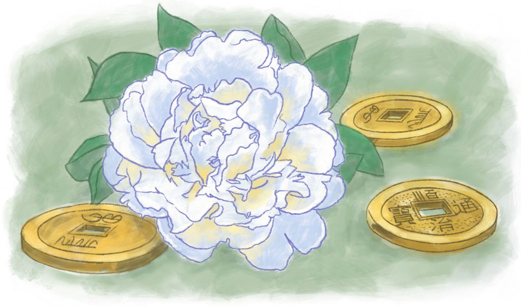 White Peony with Divination Coins