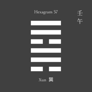 Hexagram 57 : Compliance | Serious Feng Shui
